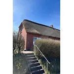 Opas Hus Auf Дом отдыха Пельворм